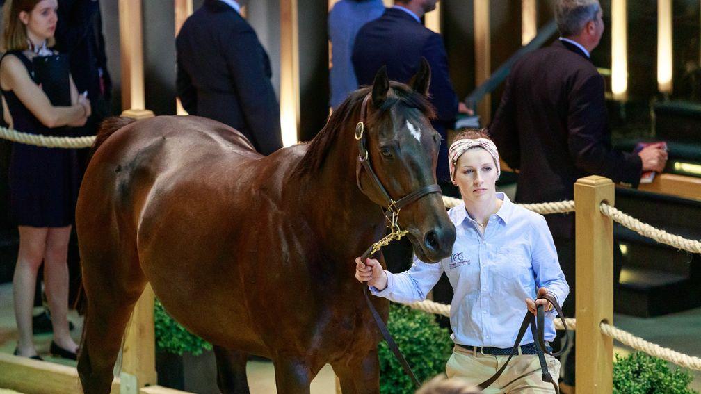 Torentosa comes under the hammer in Deauville