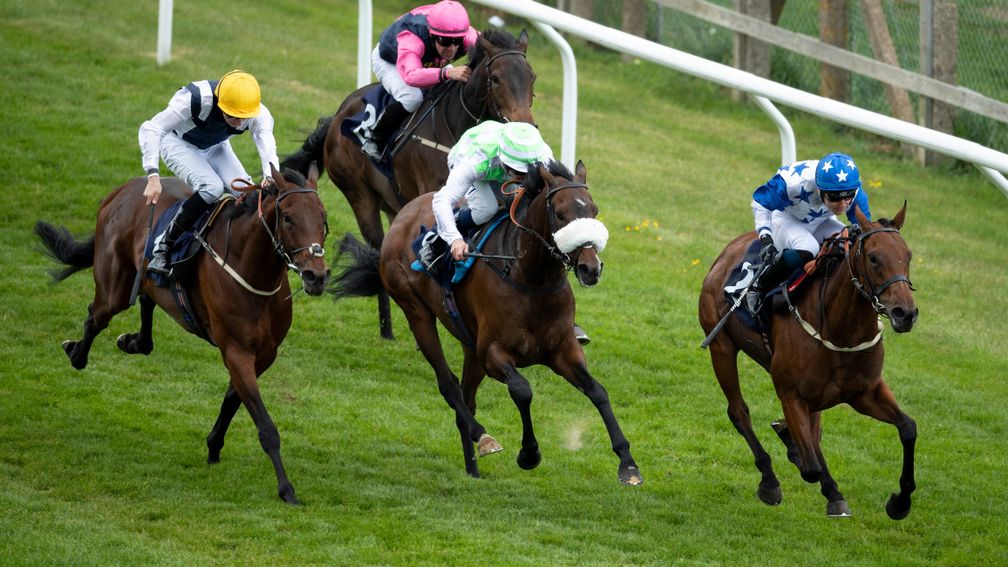 Yes she could: Couldn't Could She (Toby Eley, right) holds off Fair Power (noseband) and King Athelstan (left) at Brighton on Tuesday