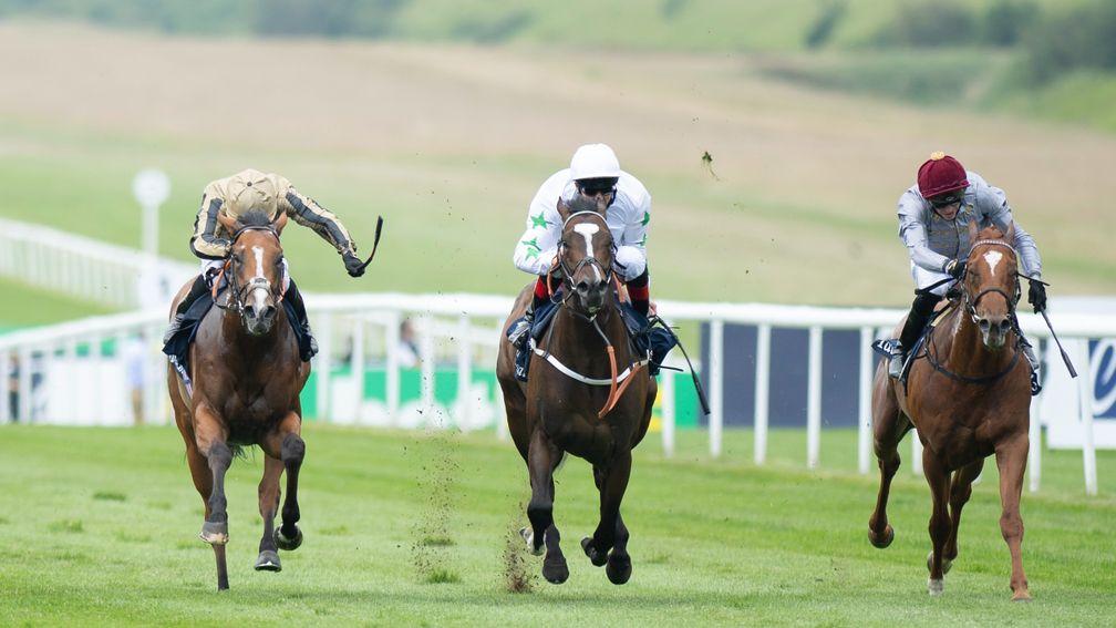 Sam Maximus (left): close third in the July Stakes at odds of 40-1