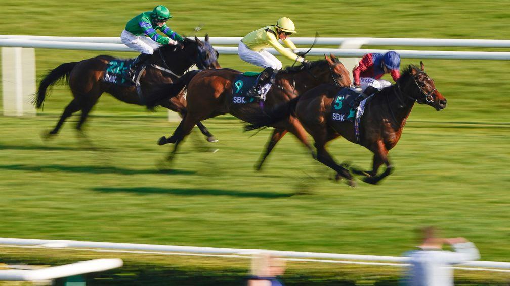 Saleymm (yellow) finished second for the Crisfords in the Lincoln last year   