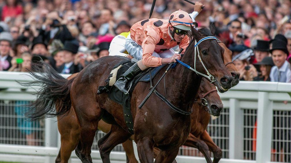 Black Caviar edges home in a remarkable Diamond Jubilee Stakes in 2012