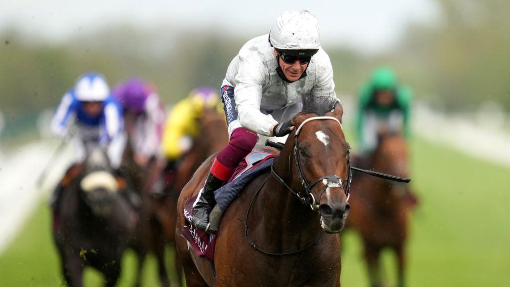 Palace Pier: son of Kingman was dominant in the Lockinge Stakes