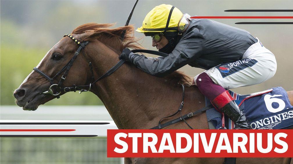 Stradivarius: bidding for a record-equalling fourth Gold Cup at Royal Ascot on Thursday