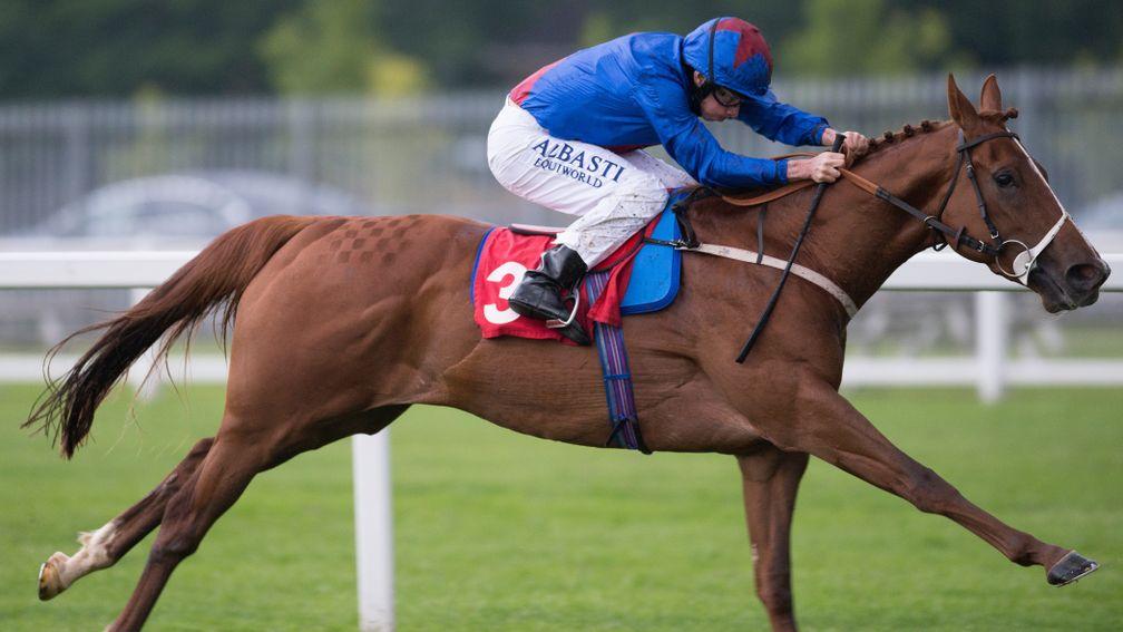 Master Carpenter: hails from the family of Invincible Spirit and Kodiac