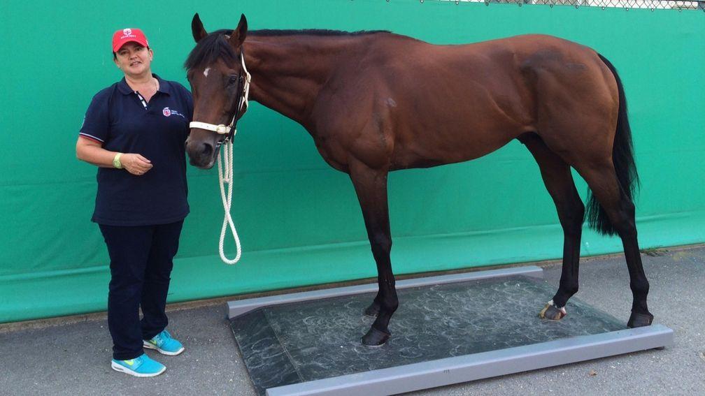 Information on horse weight is published in many other countries, notably Hong Kong