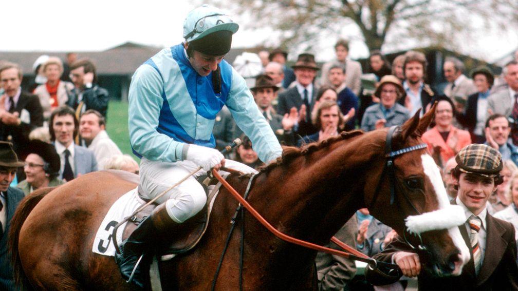 Tingle Creek after bowing out with a track-record victory at Sandown in November 1978