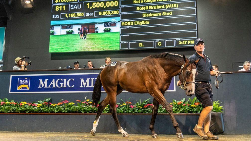 The session-topping Not A Single Doubt colt who sold to Tom Magnier for A$1.5 million