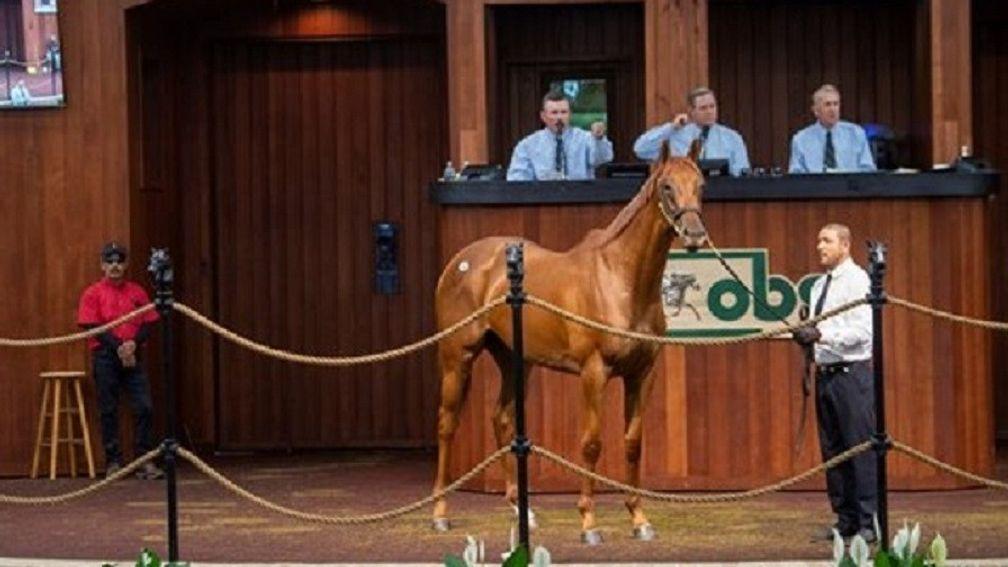 The Nyquist filly who topped the second day at the sale in Ocala
