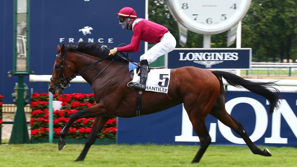 Mishriff: the globetrotting star has won Group 1s in France and Dubai