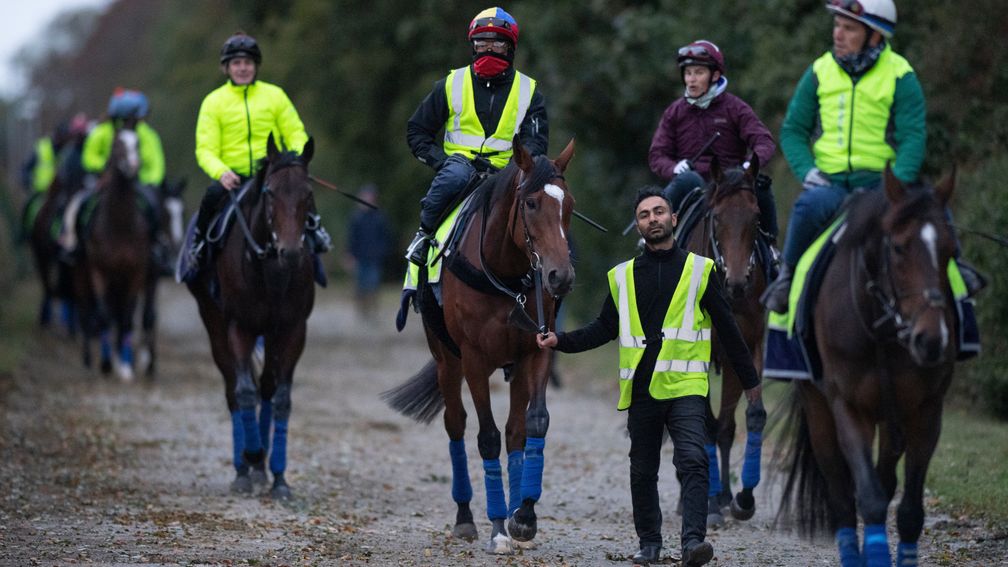 Enable and Frankie Dettori are led to the Limekilns round gallop by groom Imran Shawani