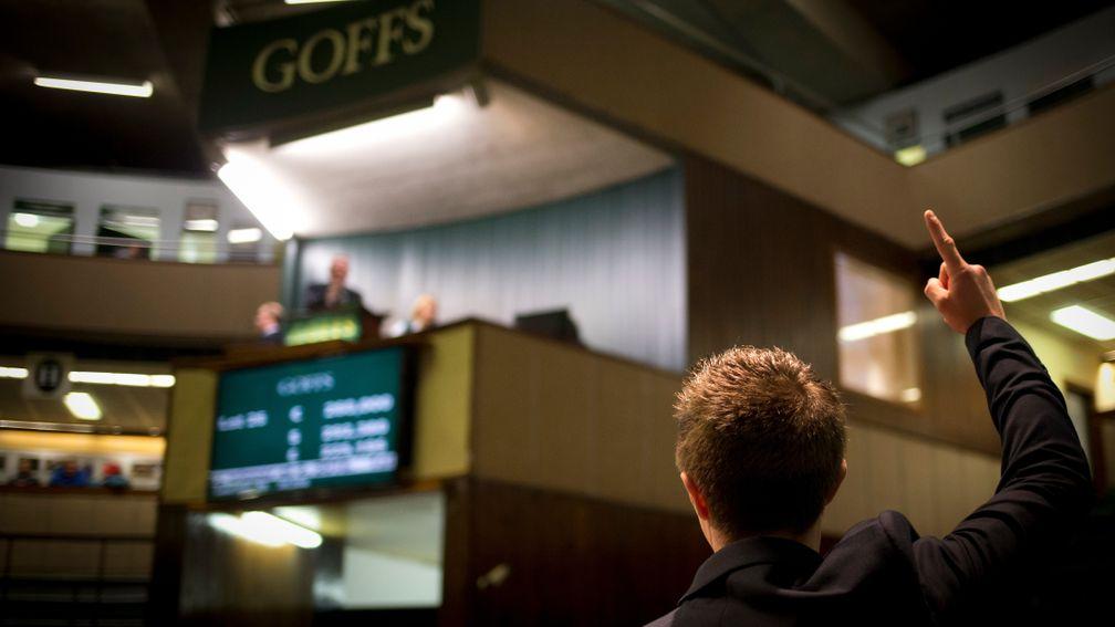 Part two of the Goffs February Sale will be held as a live online auction