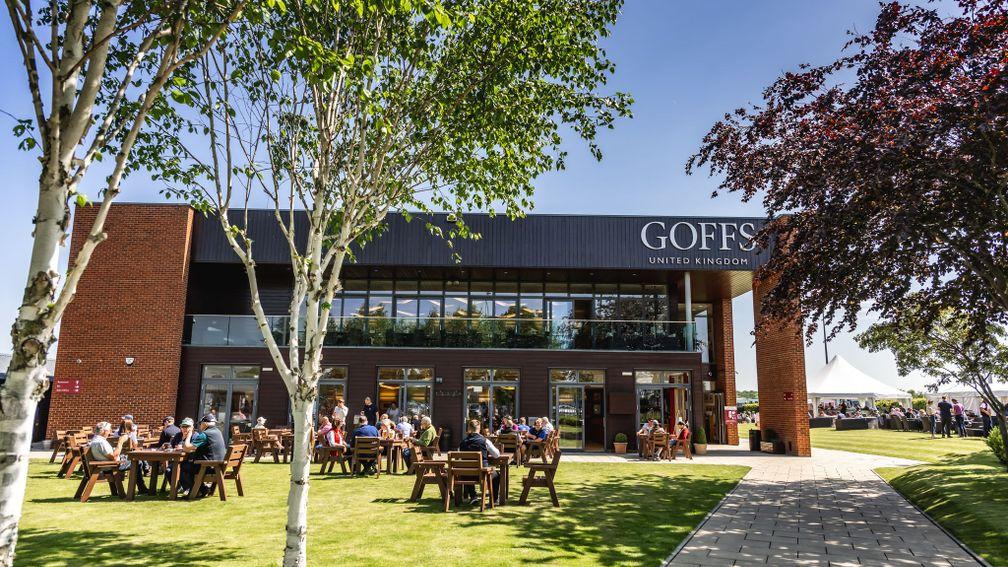 Goffs UK Spring HIT and P2P Sale generic