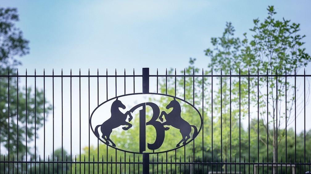 Haras de Bouquetot is one of the leading stud farms in Normandy