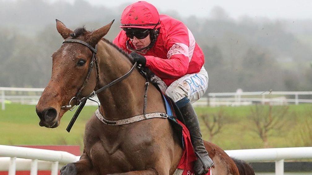 Laurina: first start for Paul Nicholls at Ascot on Saturday