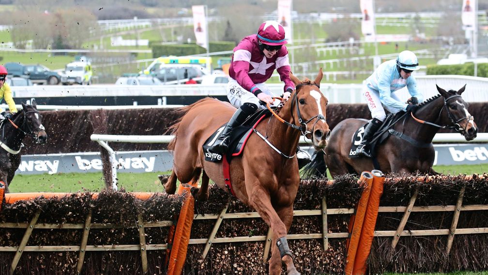 Samcro: has had a wind operation and is set to go novice chasing