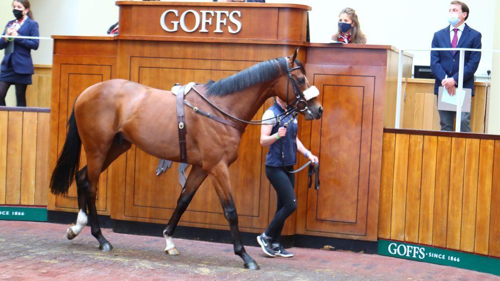 The Dubawi colt out of All At Sea sells for £480,000