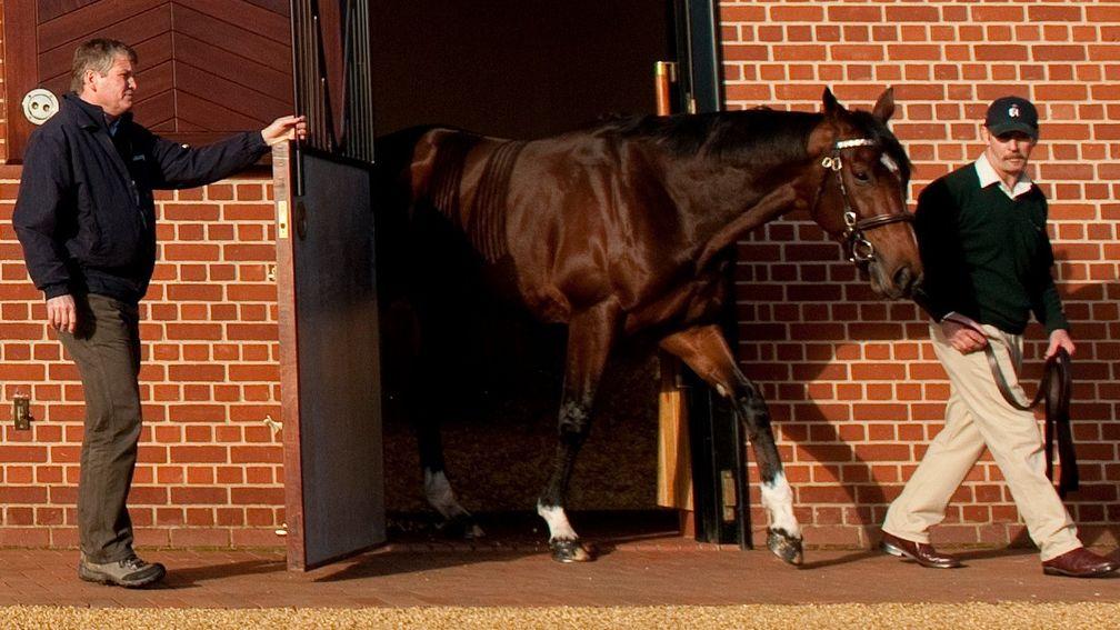 Simon Mockridge opens the door as Frankel is led out of his box by groom Rob Bowley at Banstead Manor Stud