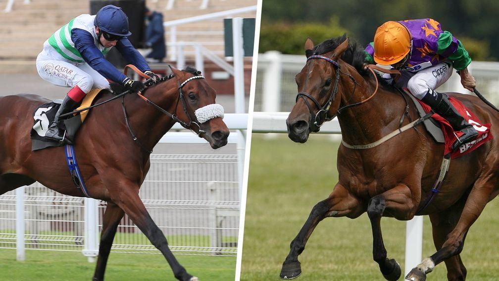 Masekela (left) and Lady Bowthorpe: two who shaped with great promise at Newmarket