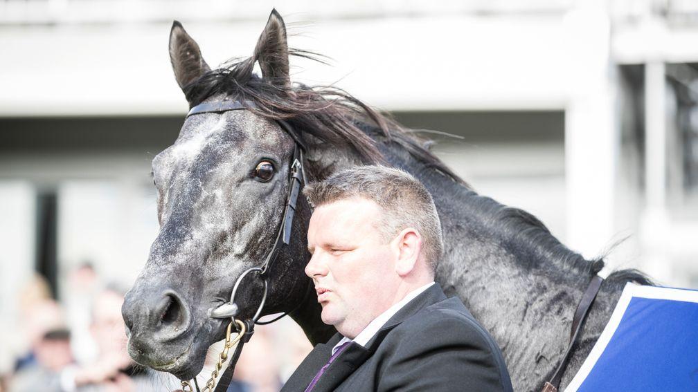 Caravaggio: dual Group 1 winner and exciting first-season sire