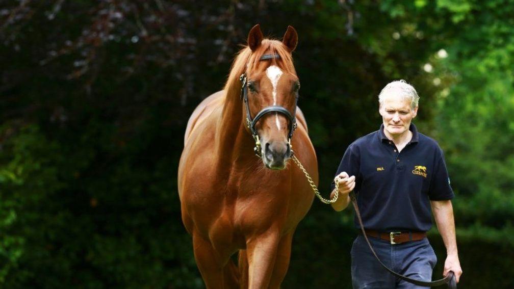 Australia: sire of 29 stakes performers