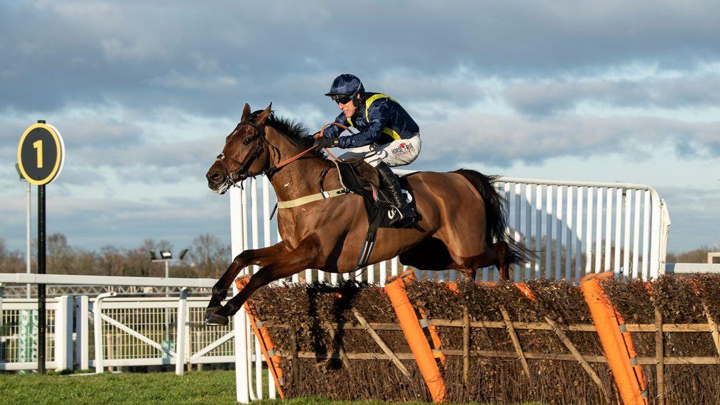 Fiddlerontheroof clears the final flight to win the Tolworth Novices' Hurdle at Sandown
