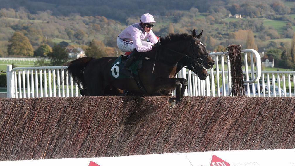 North Hill Harvey and Harry Skelton win at Cheltenham last month