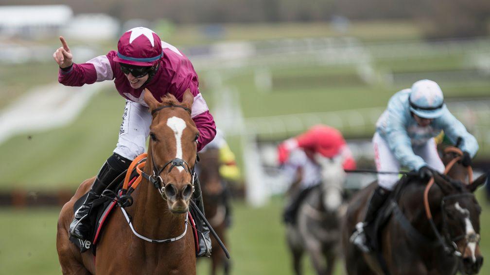 Samcro: entered in the Champion Hurdle