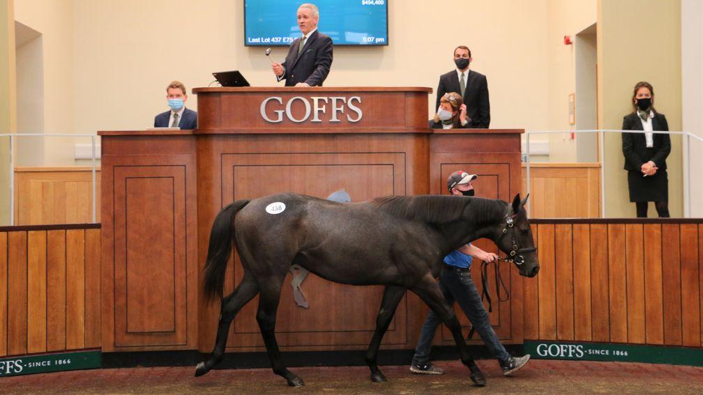 The Dark Angel filly out of The Hermitage bought by Demi O'Byrne for Peter Brant for £355,000