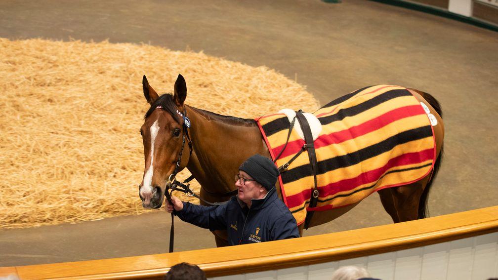 Via Sistina in the ring at Tattersalls this month, when she commanded 2,700,000gns