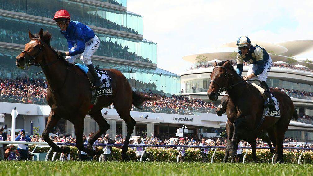 Cross Counter: beat Marmelo in the Melbourne Cup
