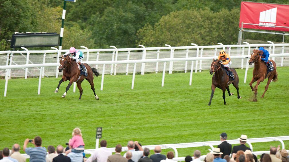 Canford Cliffs is well beaten by Frankel in the 2011 Sussex Stakes, which was his final race