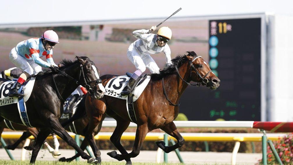 Do Deuce: held off the late challenge of Equinox to give Yutaka Take a sixth Japanese Derby