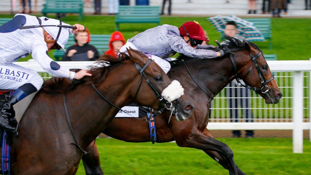 Mehronissa (near): second to Shalaa in the Bengough Stakes at Ascot