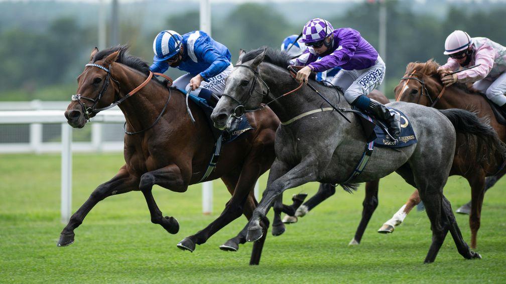 Hukum: struck in the King George V Stakes at 12-1