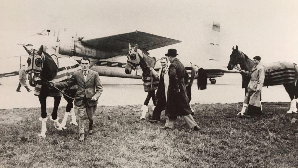 Cottage Rake, Castledermot and Hatton's Grace prepare to board at Shannon airport