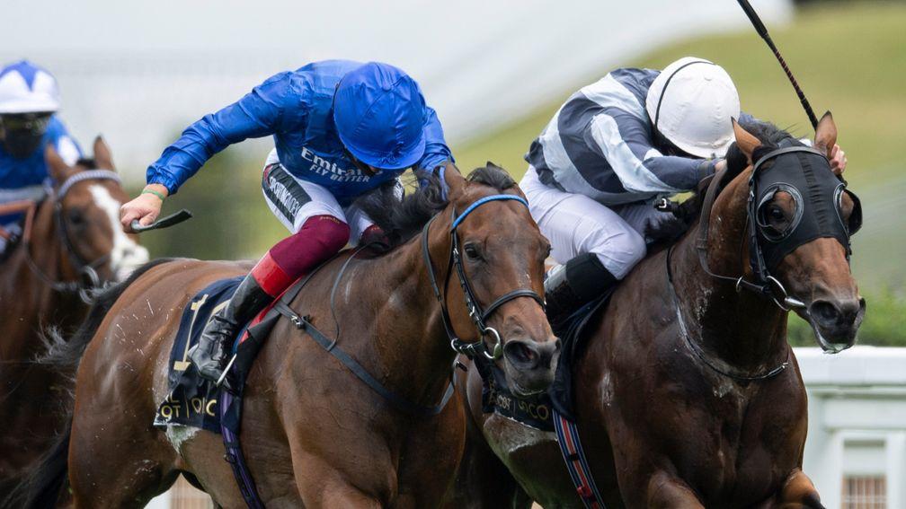 Circus Maximus (right) and Terebellum fought out the finish of the Queen Anne Stakes at Ascot in June and could play a key role in deciding the outcome of the Tote Ten To Follow competition