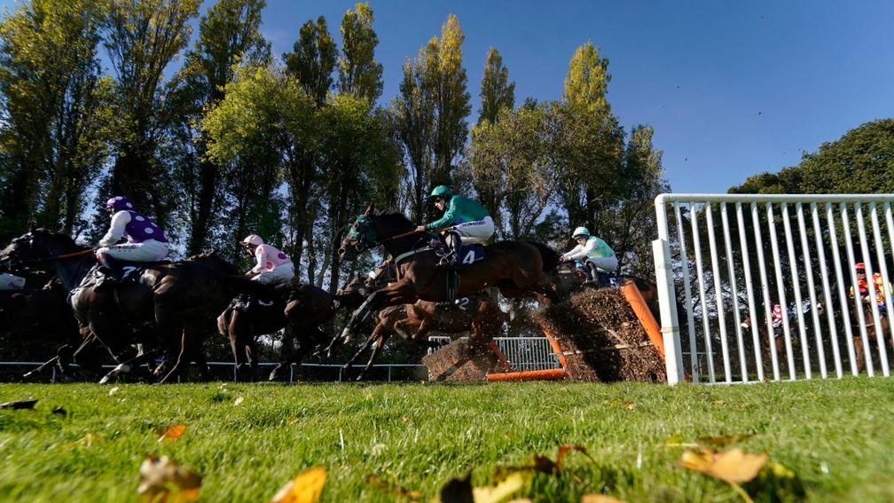 FONTWELL, ENGLAND - OCTOBER 24: A general view as runners take a flight of hurdles in the back straight at Fontwell Park Racecourse on October 24, 2018 in Fontwell, England. (Photo by Alan Crowhurst/Getty Images)