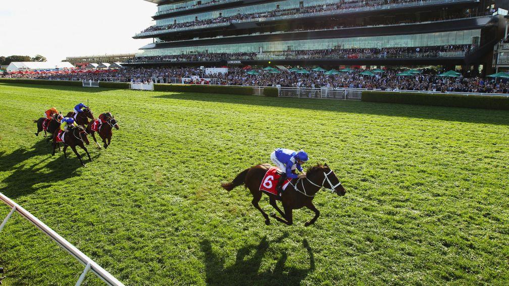 Familiar sight: Winx pulls clear in trademark style to score by four lengths