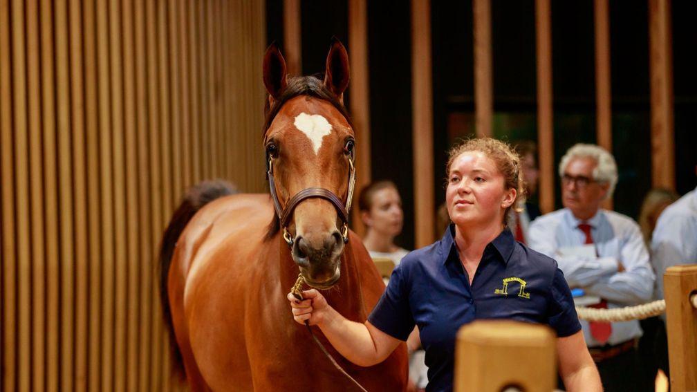 Haras de la Louviere's Siyouni half-sister to Listed winner Fenelon sells to Nicolas Clement for €600,000