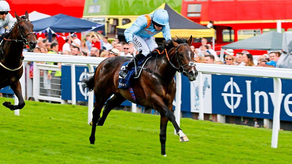 De Bruyne Horse: a late change of mind means he will run in the Papin