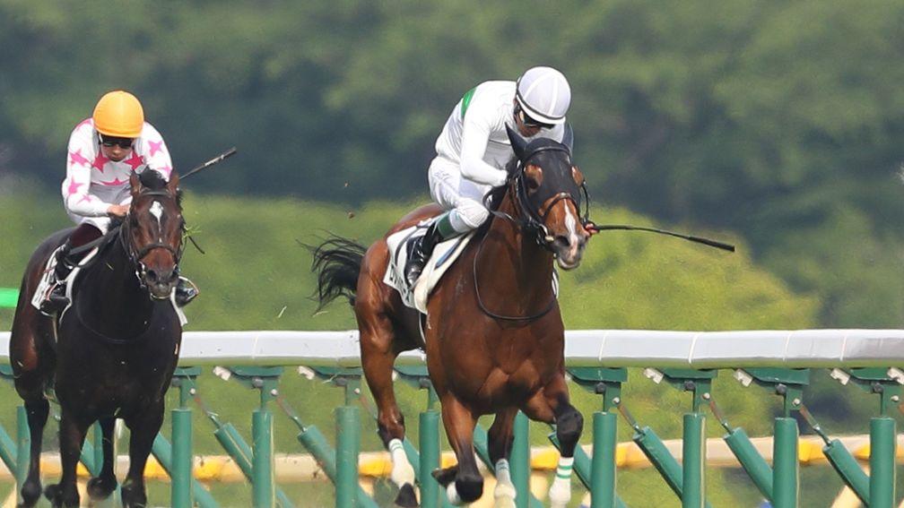 Roger Barows on his way to winning the Japanese Derby at Tokyo