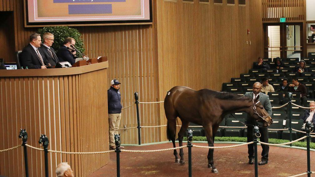 Homeland Security in the Keeneland sales ring