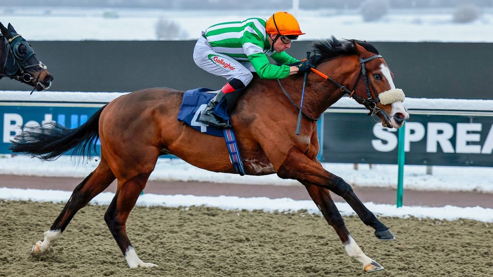 Harb: won the 5f handicap under Shane Kelly at Lingfield