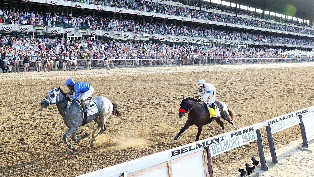 Mattress Mack placed a $2.4m bet on Essential Quality (left) in last year's Kentucky Derby