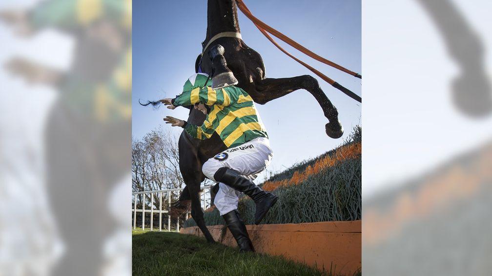 Picture of the Year: Luke Dempsey escapes a nasty situation when Mon Lino is brought to a standstill by a loose horse on the approach to the ninth fence at Galway