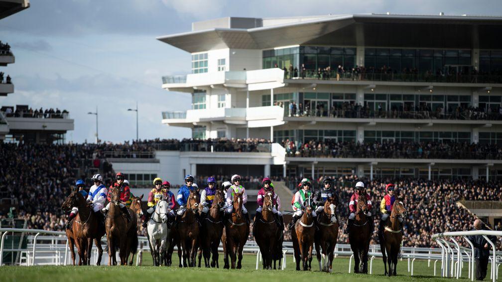 Cheltenham Festival: starts on Tuesday and runs until Friday, when the Gold Cup is held
