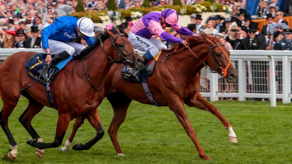 Bacchus (right): the Wokingham winner heads the entries for the Ayr Gold Cup