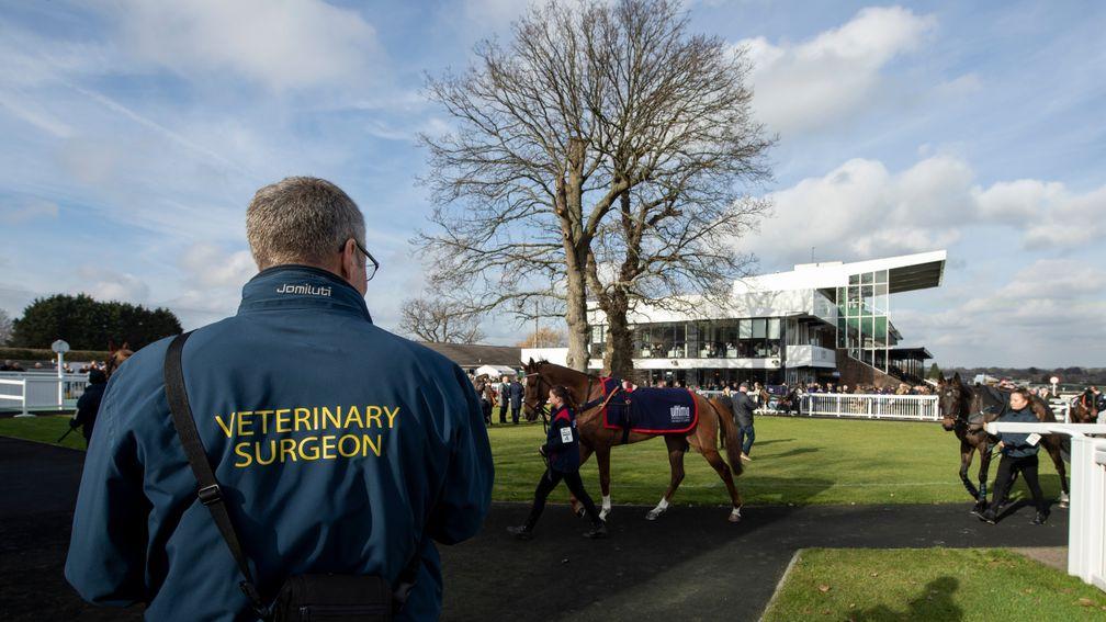 A veterinary surgeon watches the runners for the opening race at Plumpton, one of the four British venues that got racing under starter's orders again on Wednesday