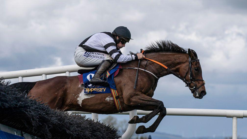 Sovereign Gold soars over a hurdle on her way to victory at Tipperary