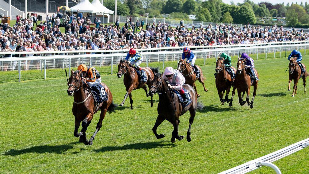 The Derby picture changes again as Telecaster beats Too Darn Hot in Thursday's Dante Stakes at York